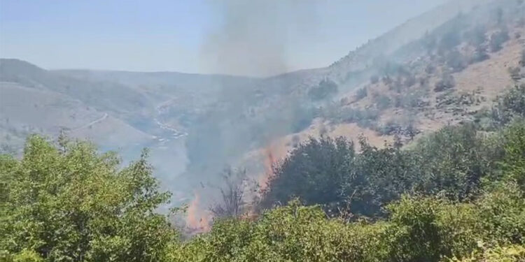 Diyarbakır'da ormanda örtü yangını