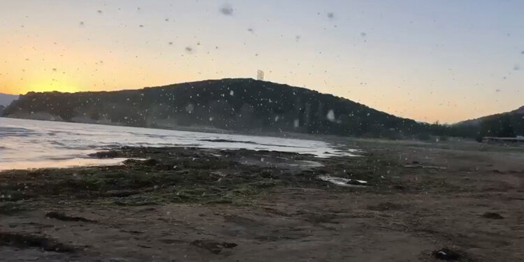 Eğirdir Gölü'nde yaşanan sinek istilası kamerada