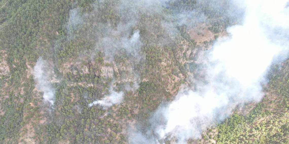 Evde çıkıp ormana sıçrayan yangında 35 dekar alan kül oldu