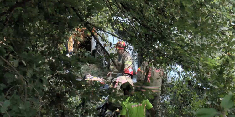 Eyüpsultan'da otomobil ormanlık alana uçtu: 2 yaralı