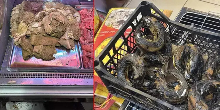 Fatih'te sakatatçılarda hijyen tepkisi: Kokudan aşağıya inilmiyor