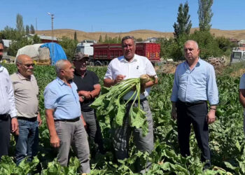 Şeker pancarı üreticisi fiyat bekliyor