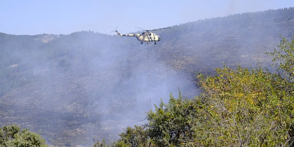 Gerede'deki orman yangını kontrol altına alındı