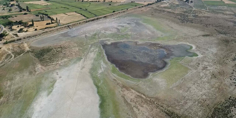 Göçmen kuşlara ev sahipliği yapan Uzunhızırlı Göleti kurudu