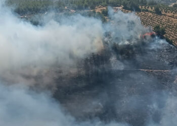 Hatay'da orman yangını çıktı; müdahaleler sürüyor