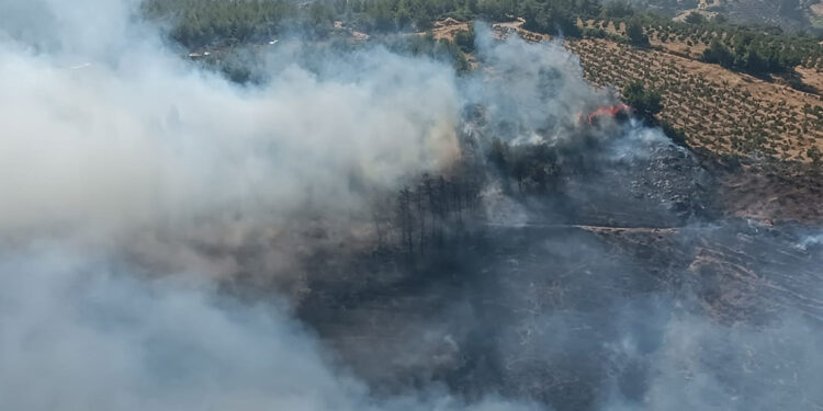 Hatay'da orman yangını çıktı; müdahaleler sürüyor