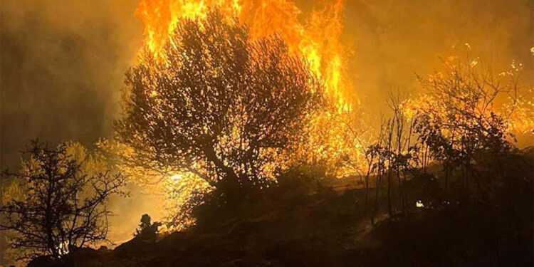 Tehlikenin ucundan dönüldü; İzmir yangına teslim olabilirdi