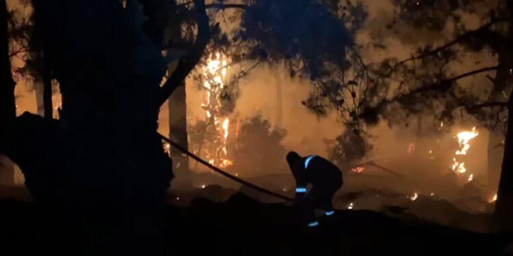 İzmir'de ikinci orman yangını; Karşıyaka ilçesinde de çıktı