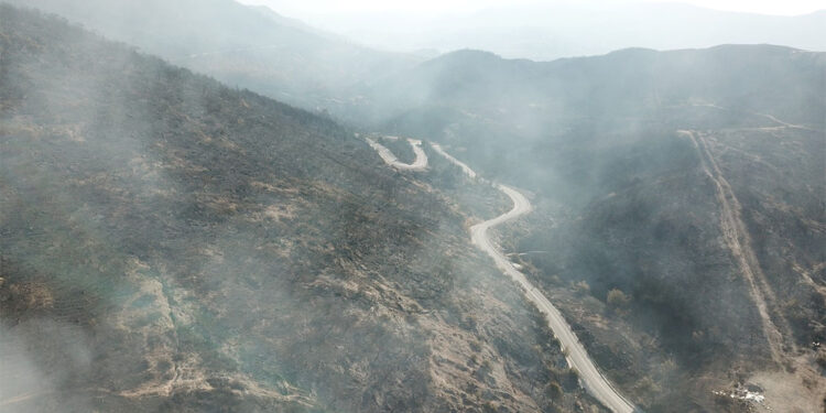 Karşıyaka ve Menderes'teki orman yangını havadan görüntülendi