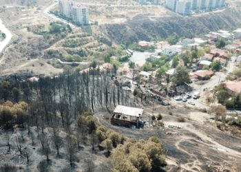 İzmir ve Aydın'daki orman yangınlarında zarar görenlere nakdi yardım yapılacak