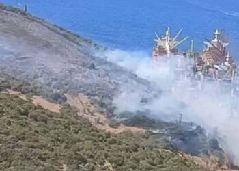 İzmir'in Aliağa ilçesinde orman yangını