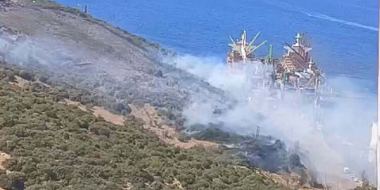 İzmir'in Aliağa ilçesinde orman yangını