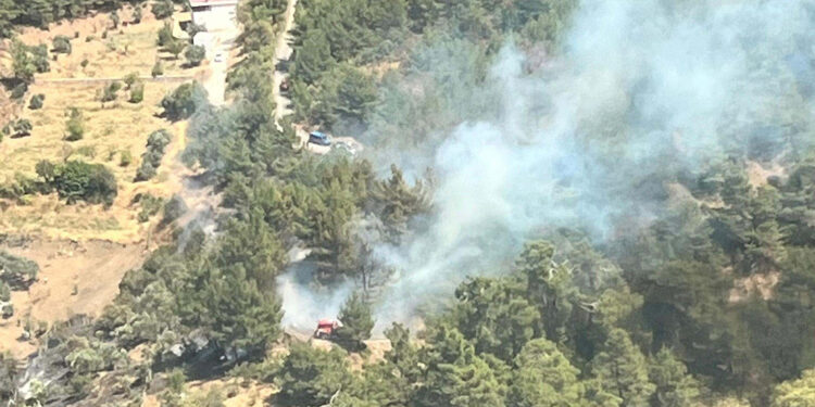 İzmir'in Kemalpaşa ilçesinde ormanda yangın