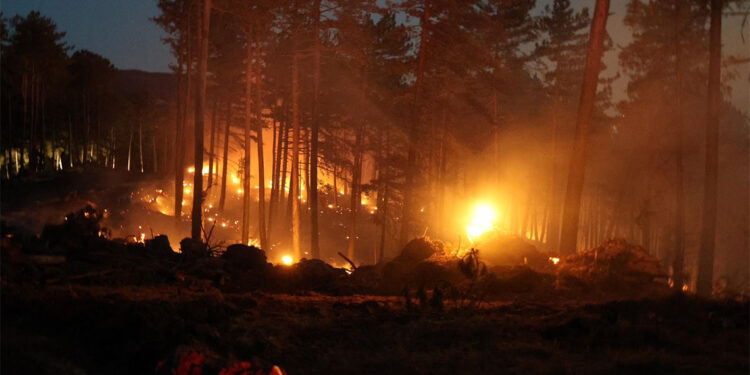 Karabük'teki orman yangını için mücadele