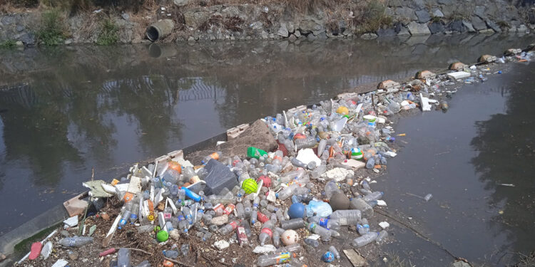 Kadıköy ve Beykoz'da şiddetli yağış sonrası derelerde çöp yığınları oluştu