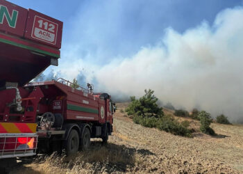 Kahramanmaraş'ın Onikişubat ilçesinde orman yangını