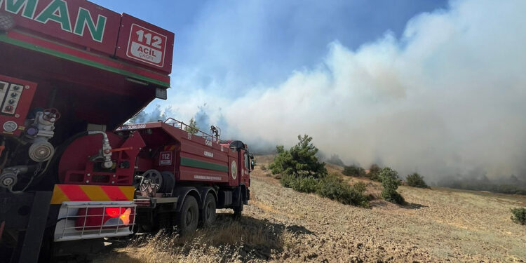 Kahramanmaraş'ın Onikişubat ilçesinde orman yangını