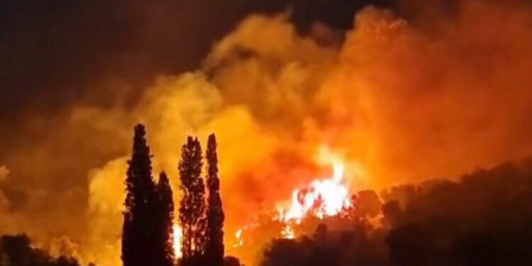 Karaburun'da çıkan orman yangını söndürüldü; 3 kişi dumandan etkilendi
