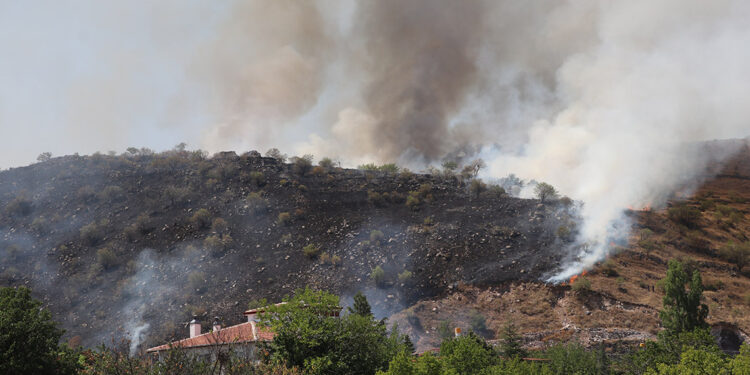 Kayseri'de dağlık arazide yangın