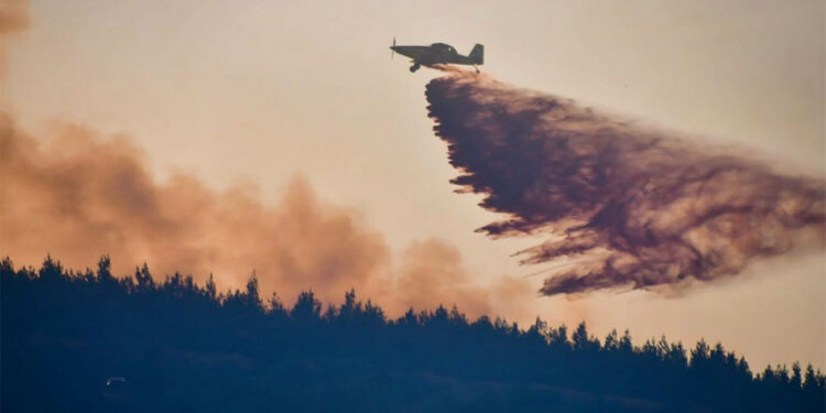 Kazdağları'na girişler yasaklandı