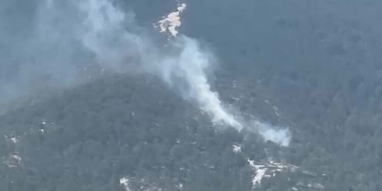 Kazdağları'nda orman yangını çıktı