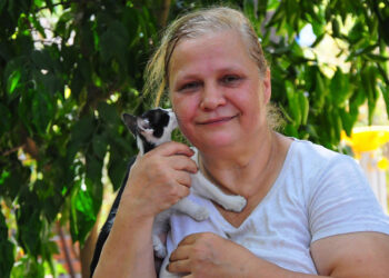'Kedilerin annesi' Alev Öğretmen, 2 arkadaşıyla 80'den fazla kediye bakıyor