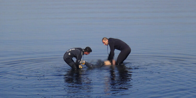 Kocaeli'de denizde ceset bulundu