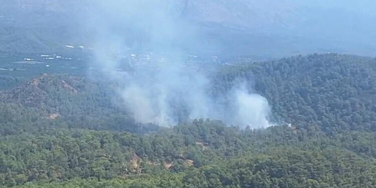 Köyceğiz'de korkutan orman yangını