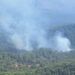 Köyceğiz'de korkutan orman yangını