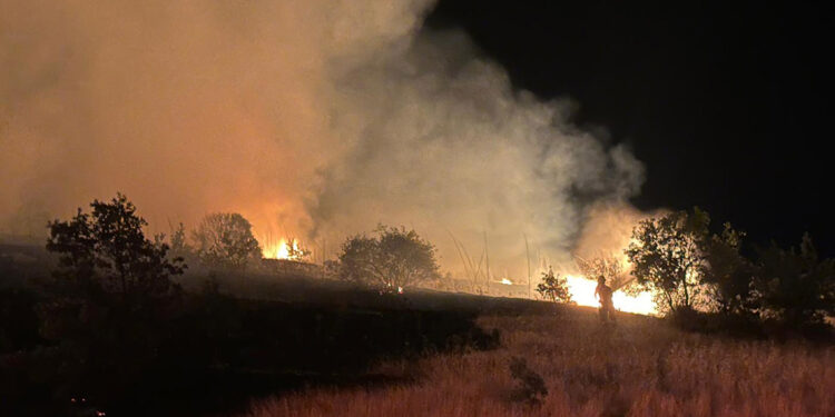 Kula'da çıkan makilik alan yangını söndürüldü