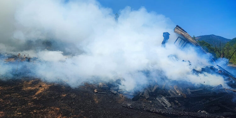 Kulübede çıkan yangında, 140 güvercin ile 1 köpek öldü