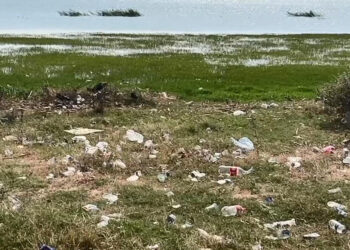 Kuşcenneti Milli Parkı çöplüğe döndü