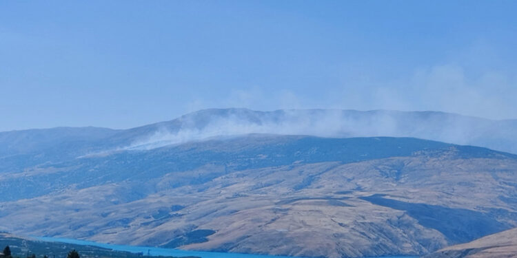 Malatya'nın Pütürge ilçesinde orman yangını