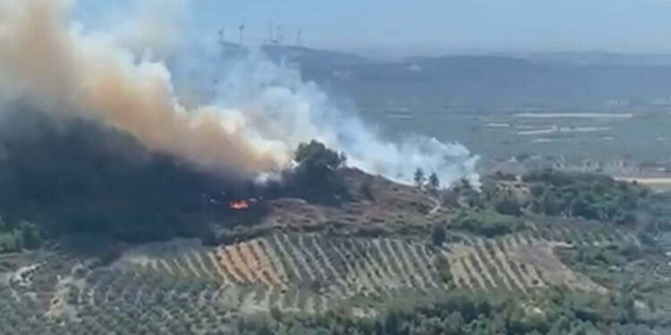 Manisa ve Kahramanmaraş'ta orman yangını