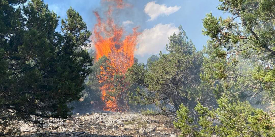 Manisa ve Kahramanmaraş'ta orman yangını