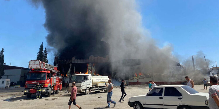 Manisa'da yaş sebze meyve işletmesinde yangın
