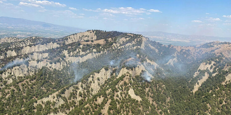 Manisa'daki orman yangını 3'üncü günde kısmen kontrol altına alındı