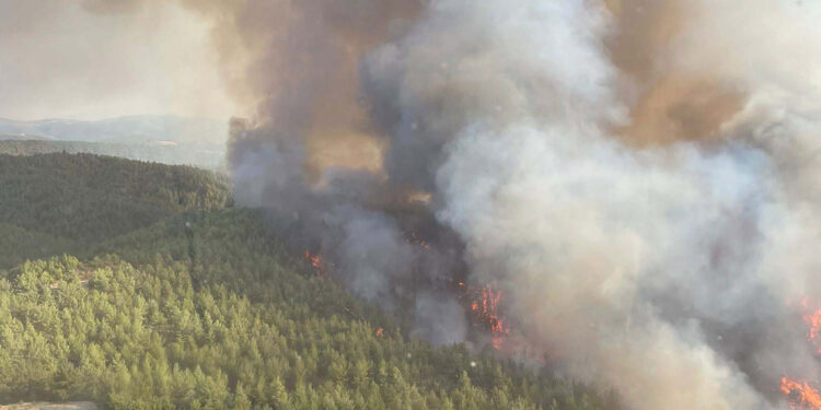 Manisa'daki orman yangınında 2'nci gün