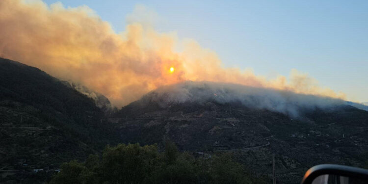 Manisa'daki orman yangınında 4'üncü gün