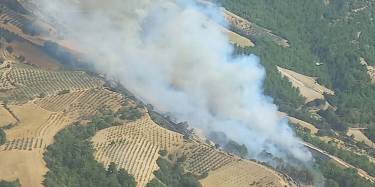 Manisa'nın Gördes ilçesinde orman yangını