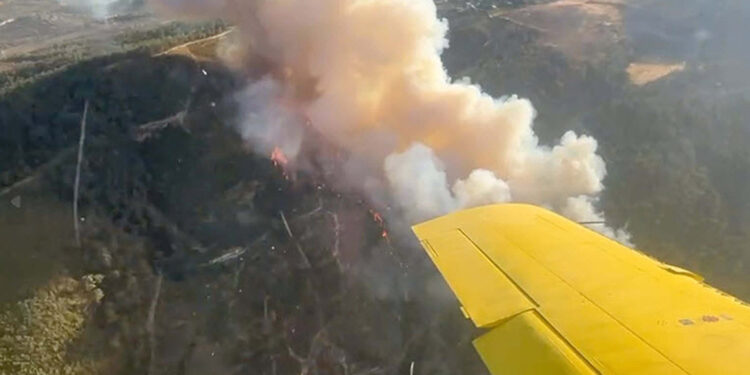 Manisa'nın Şehzadeler ilçesinde orman yangını