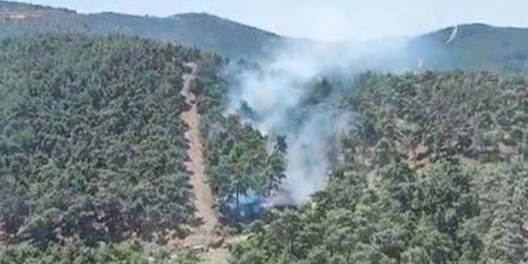 Manisa'nın Yunusemre ilçesinde orman yangını