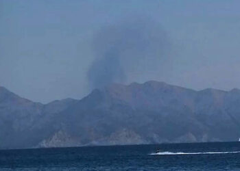 Marmaris'teki ormanda yangın çıktı