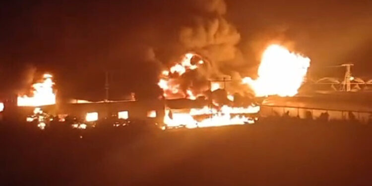 Mersin'de, limon paketleme tesisinde yangın