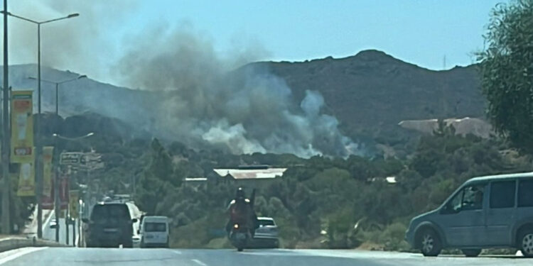 Muğla Bodrum'da makilik yangını