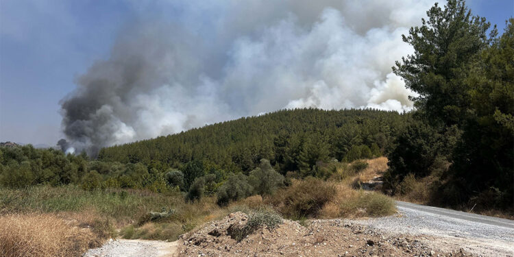 Ula ile Yatağan'daki orman yangınları kısmen kontrol altına alındı