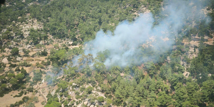 Muğla'nın Yatağan ilçesinde orman yangını