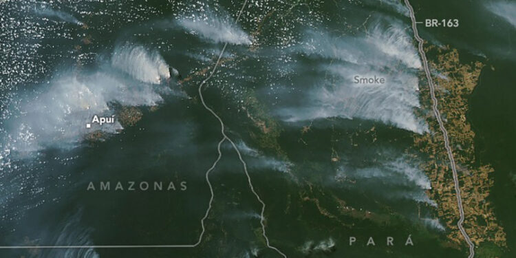 NASA: Brezilya'da karbon emisyonu son 19 yılın en yüksek seviyesine ulaştı