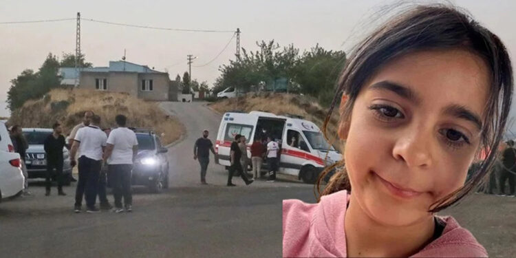 Narin'i arama çalışmaları 3'üncü gününde; 9 bin 300 araç kontrol edildi