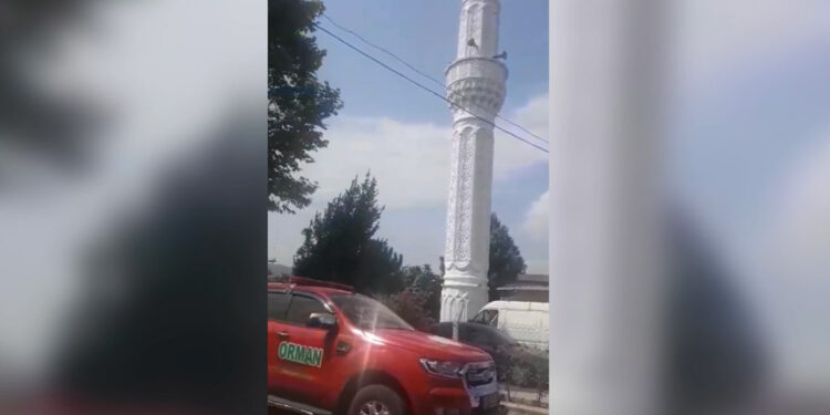 Osmaniye'de orman yangınlarına karşı camilerden anons yapıldı